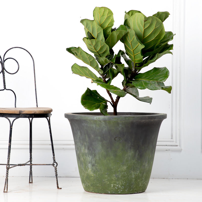 TINA RUSTICA 47CM AL 64.5CM DBOCA