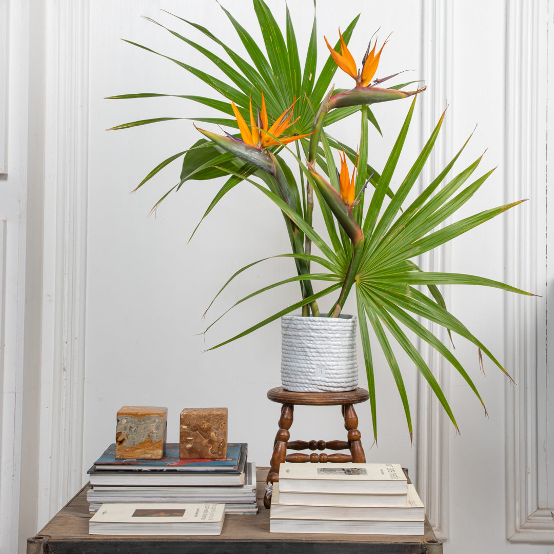 HENEQUEN VASE 15CM TO 13.5CM D