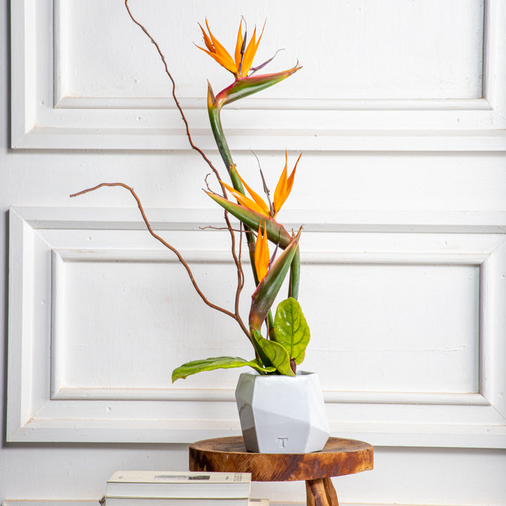 ANGULAR VASE 12CM TO 14CM D