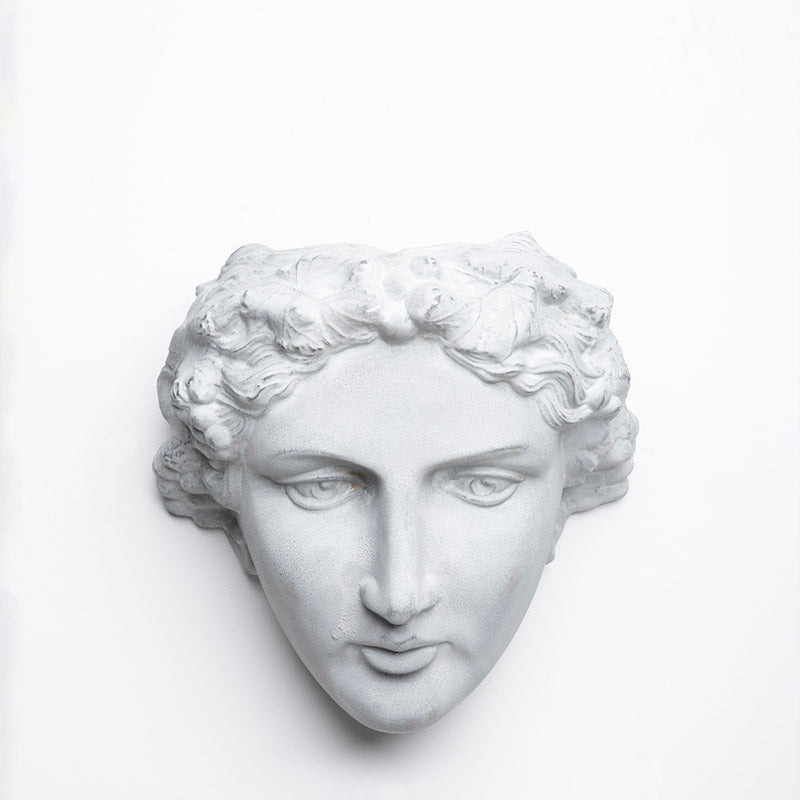 JARDINERA MUSA DE PARED 26CM AL 25CM L 18.5CM AN | Trinitate