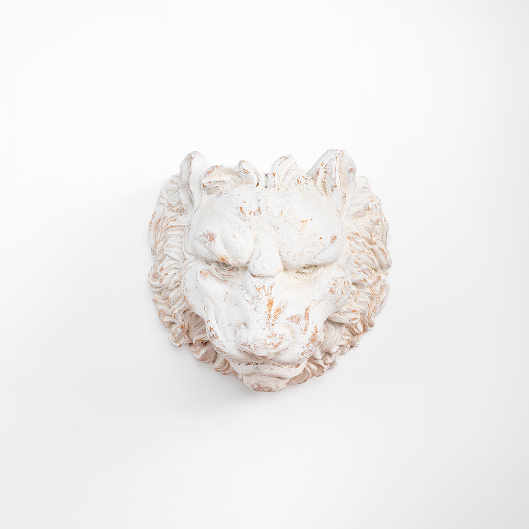 MASCARON CABEZA DE LEON 34 CM SET | Trinitate
