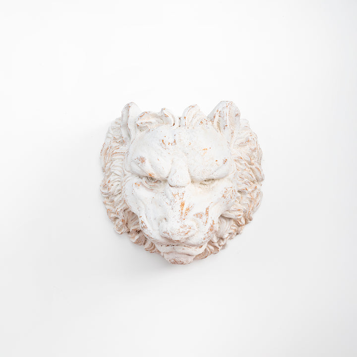 MASCARON CABEZA DE LEON 34 CM SET | Trinitate