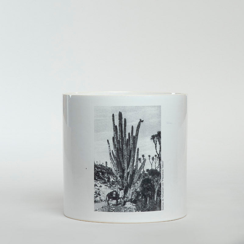 FLORERO CILINDRO C/SALINAS DE TEHUACAN 15CM AL 18CM D | Trinitate