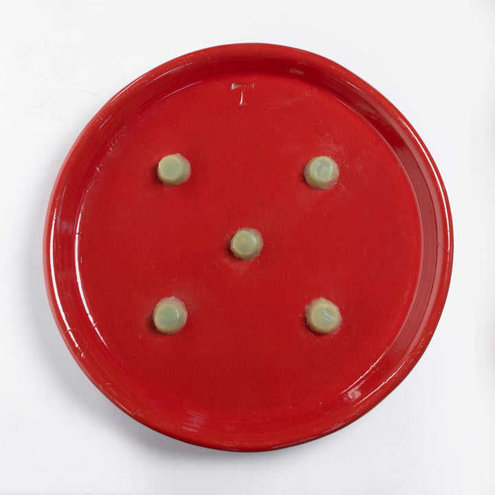 PLATO C/GOMAS 71CM D