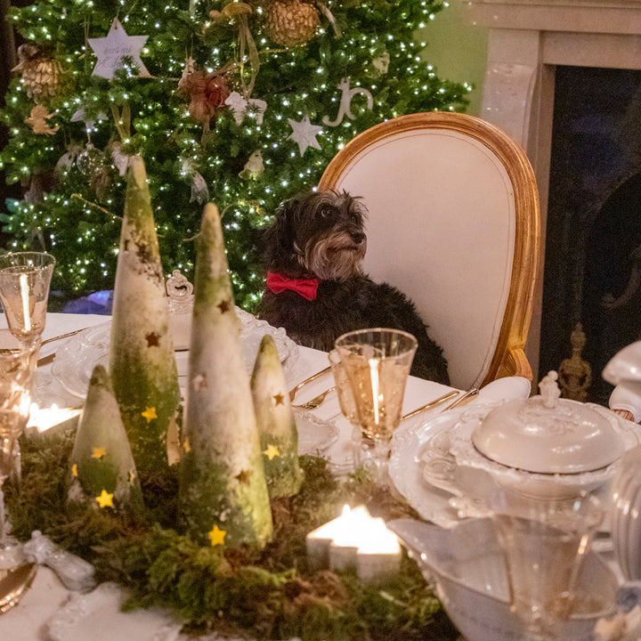 PINE STAR LANTERN 16.5CM TO 8.5CM D