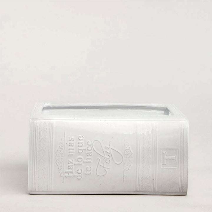 FLORERO LIBRO 12.5CM AL 26CM L 20CM AN