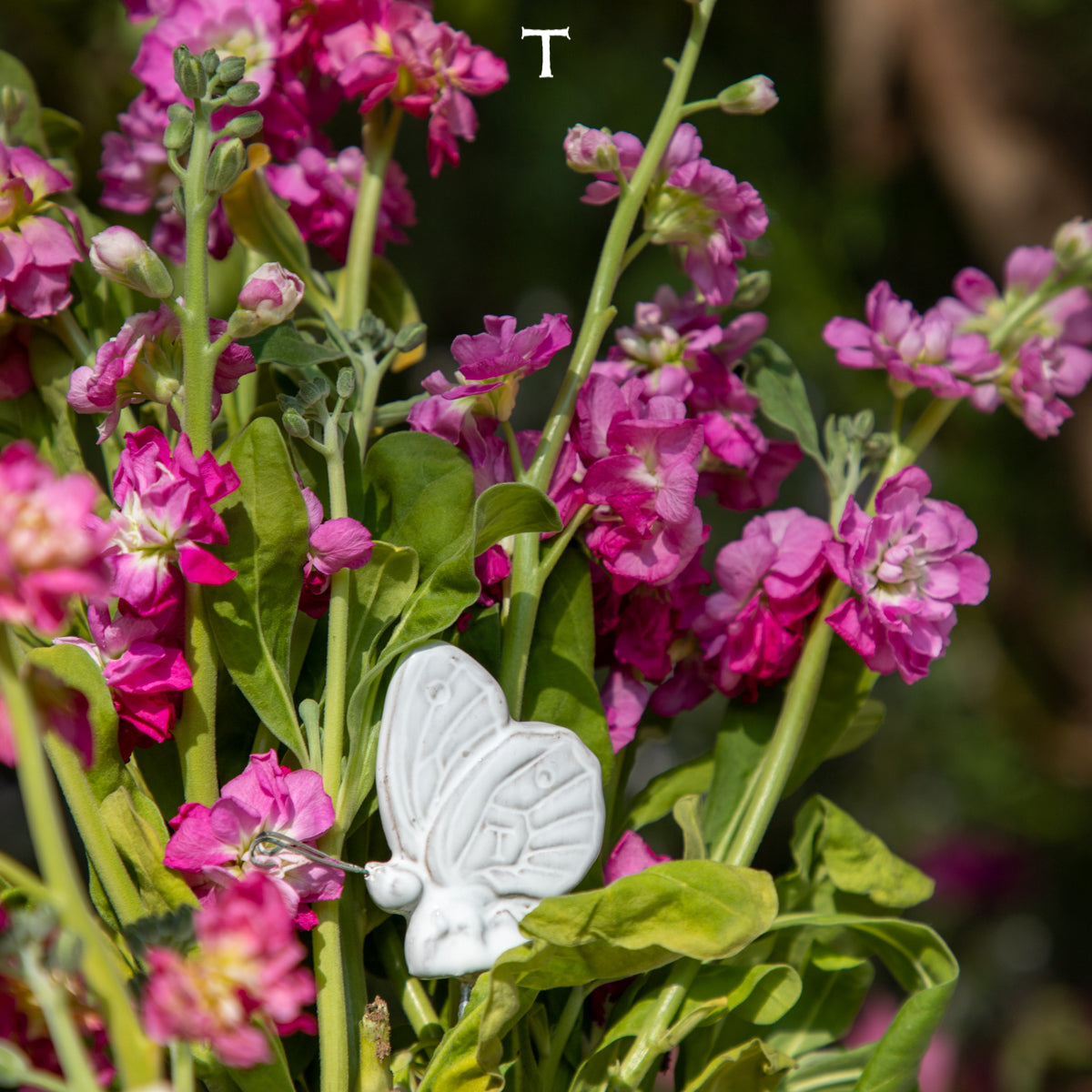 MARIPOSA CON VARILLA 6CM AL 4CM L 1CM AN | Trinitate