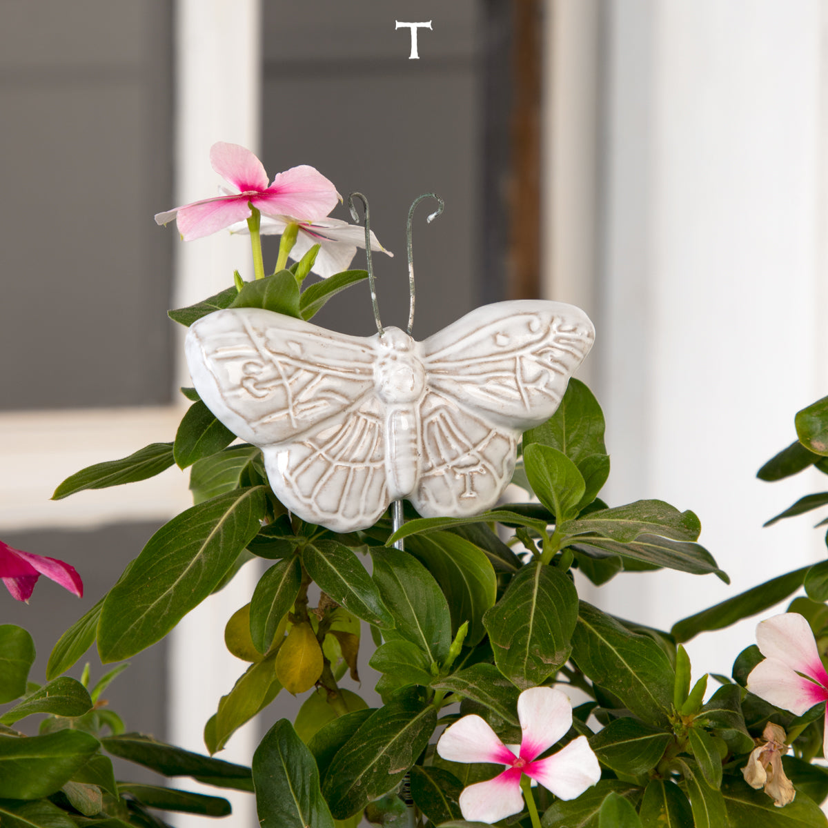 MARIPOSA ALAS ABIERTAS CON VARILLA 4.5CM AL 8.5CM L 1CM AN | Trinitate