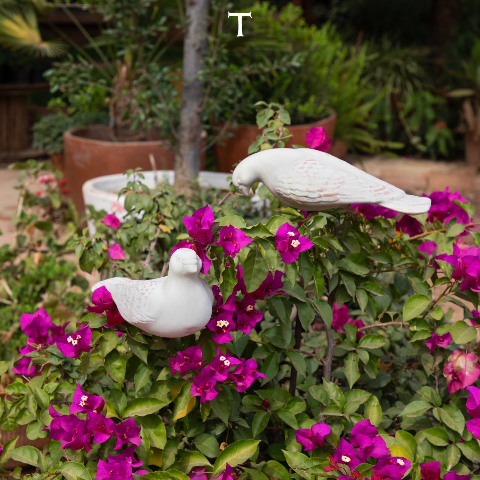 PALOMA DESPIERTA CON VARILLA 11CM AL 26CM L 11.5CM L | Trinitate