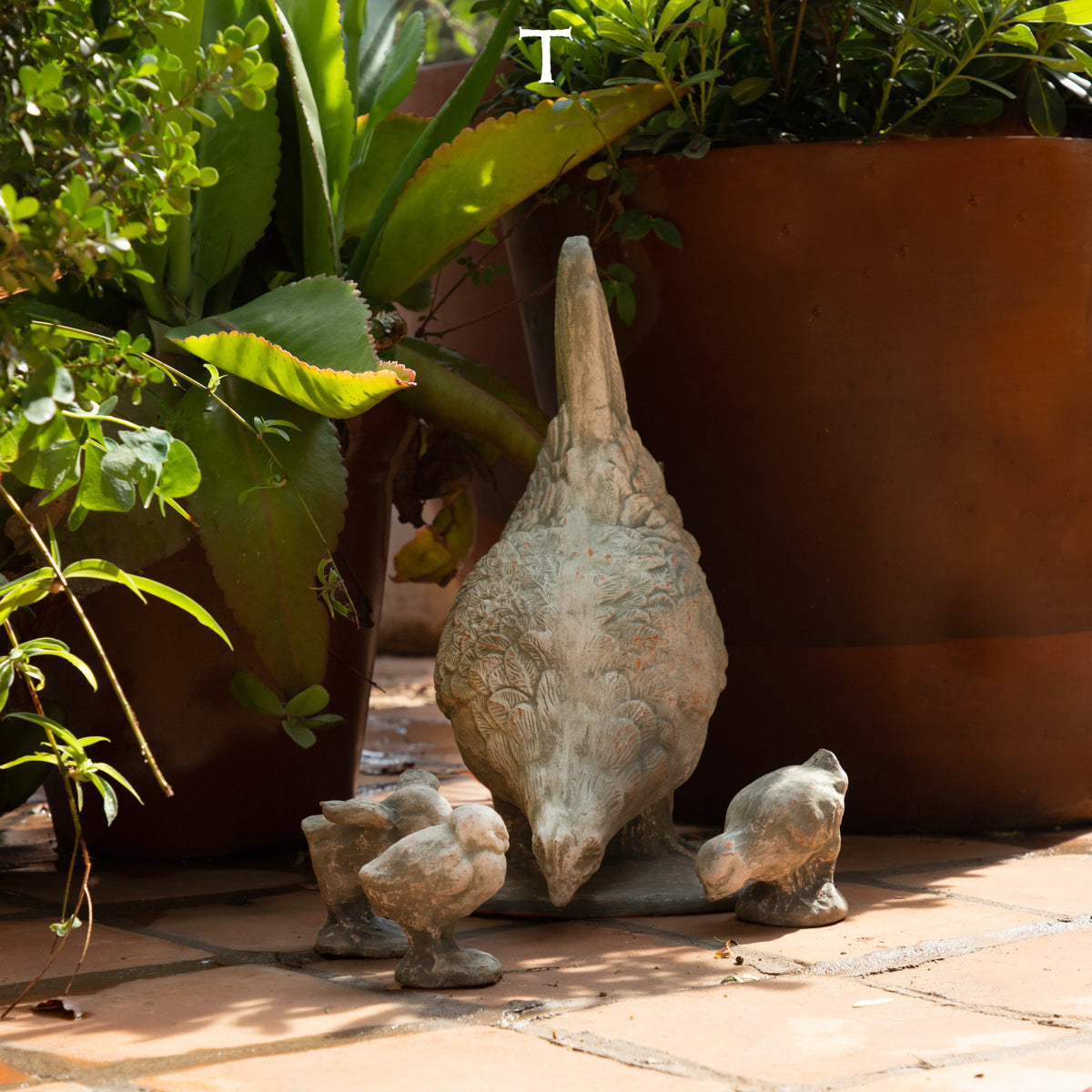GALLINA CON TRES POLLITOS 42CM AL | Trinitate