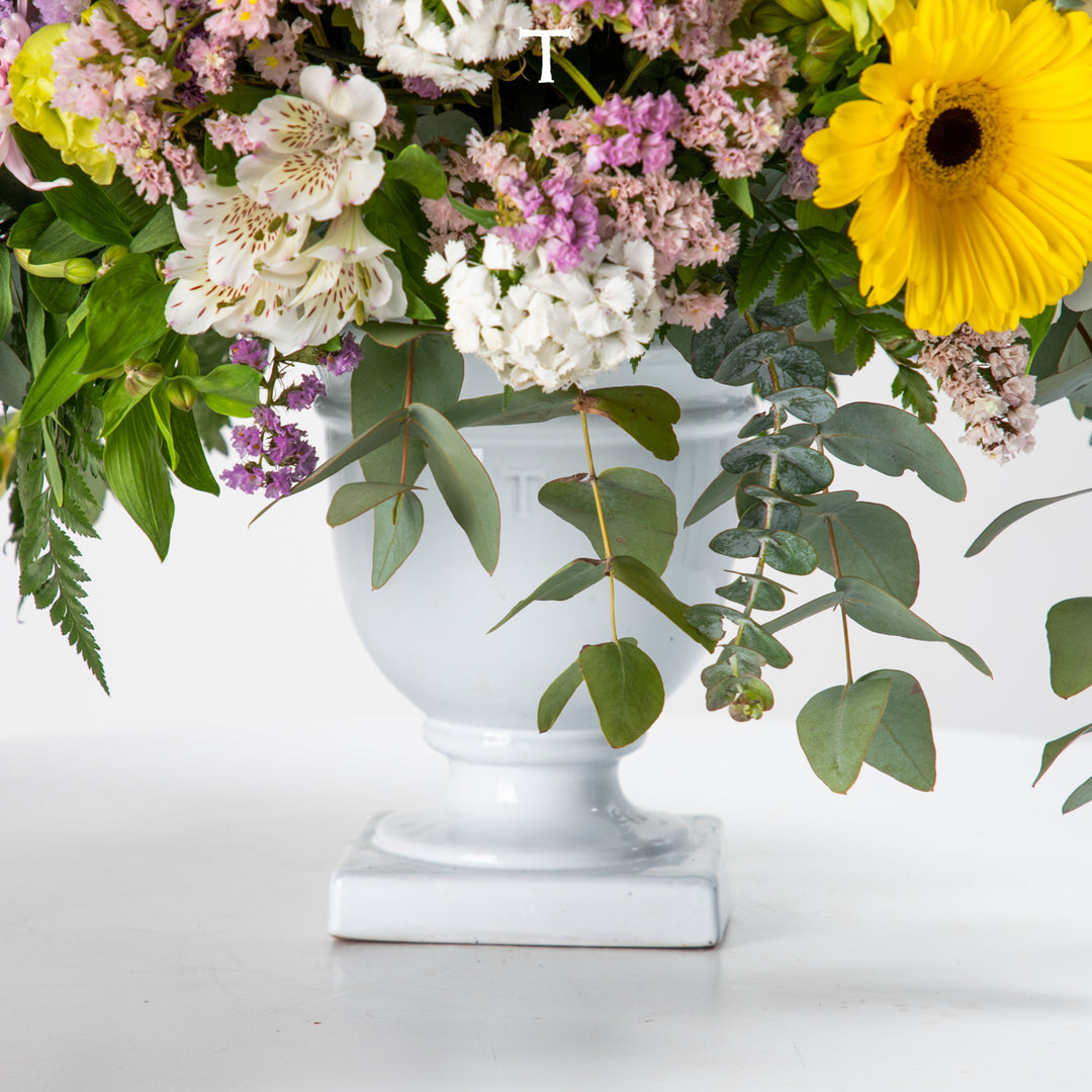 EUROPA CUP 21CM TO 22CM D