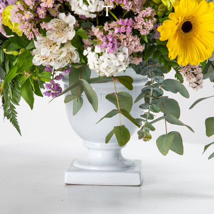 EUROPA CUP 21CM TO 22CM D