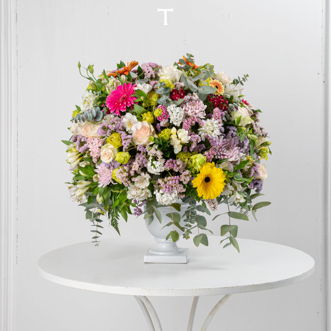 EUROPA CUP 21CM TO 22CM D