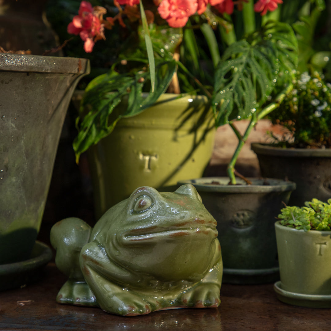 RANA 11CM AL 20CM L 15.5CM AN | Trinitate