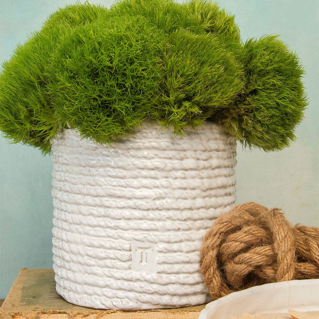 HENEQUEN VASE 15CM TO 13.5CM D
