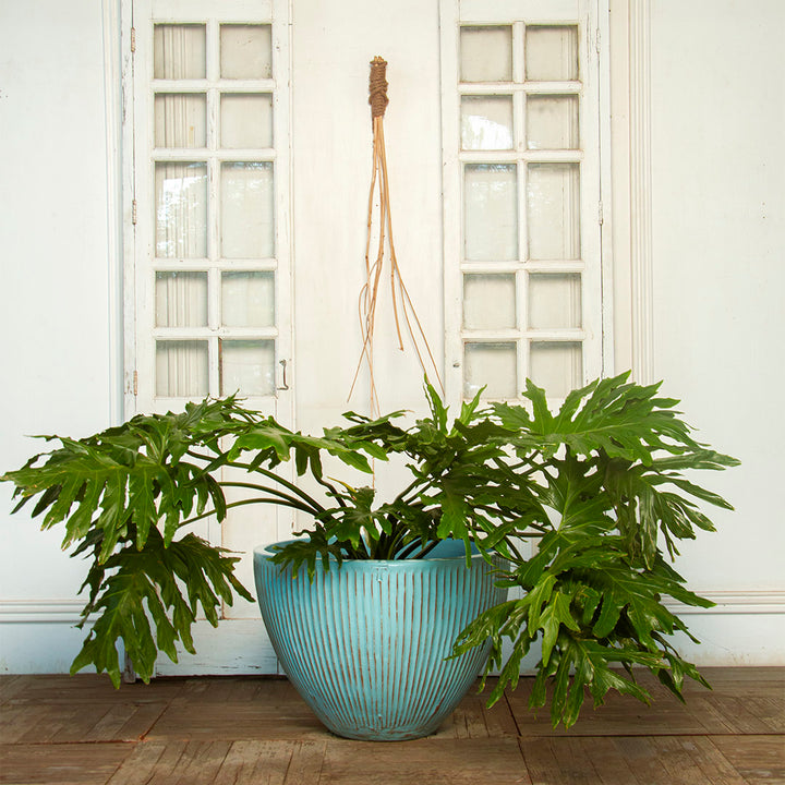 BOWL ASTRIADO 35.5CM AL 48CM DBOCA