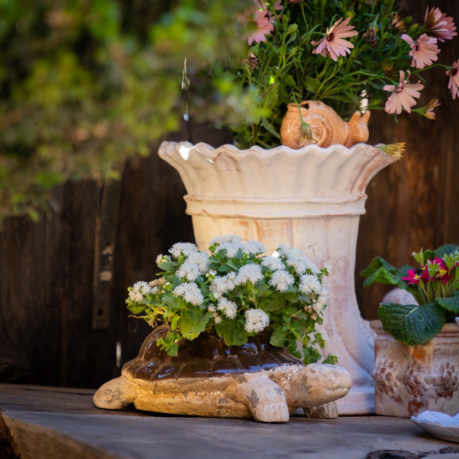 MACETA TORTUGA 10CM AL 30CM L 20CM AN | Trinitate