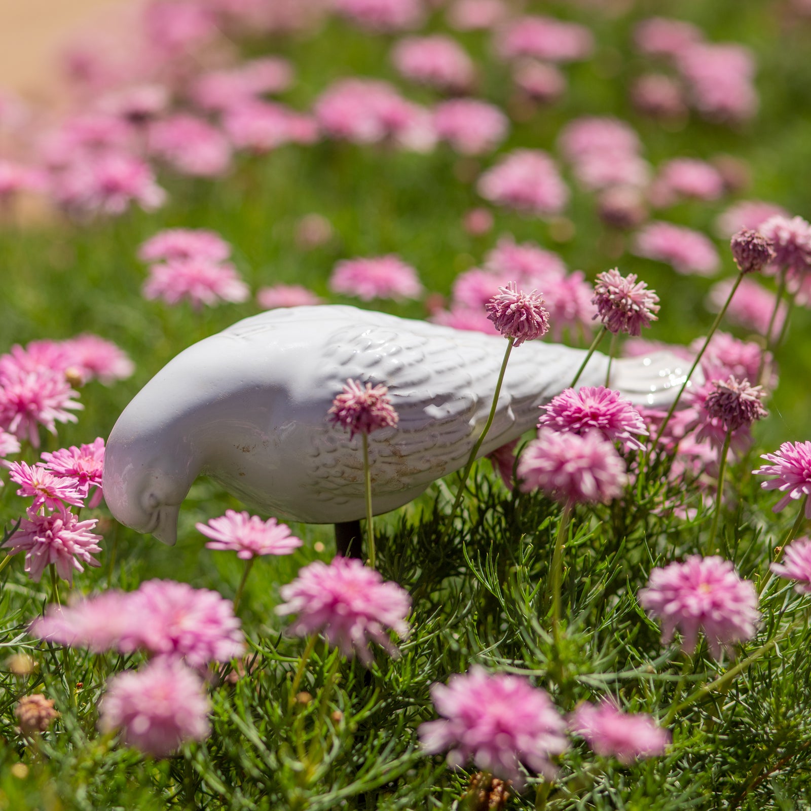 PALOMA DORMIDA CON VARILLA 7CM AL 26CM L 11.5CM AN | Trinitate