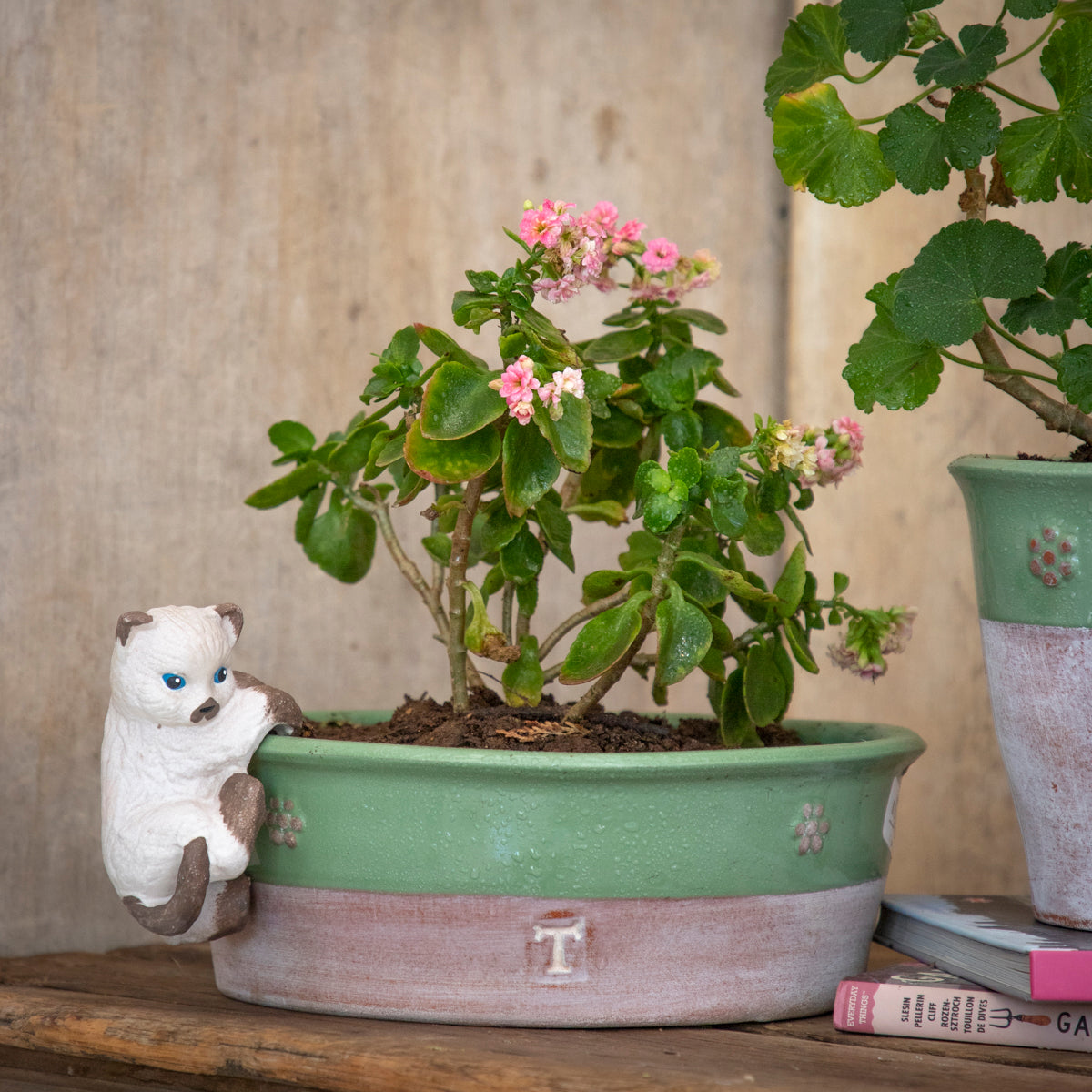 GATITO PARA MACETA 12CM AL 8CM L 7CM AN | Trinitate