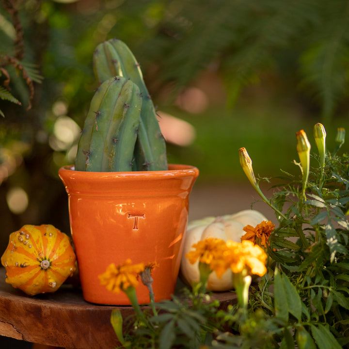 VASO LISO 16.5CM AL 15.5CM DBOCA