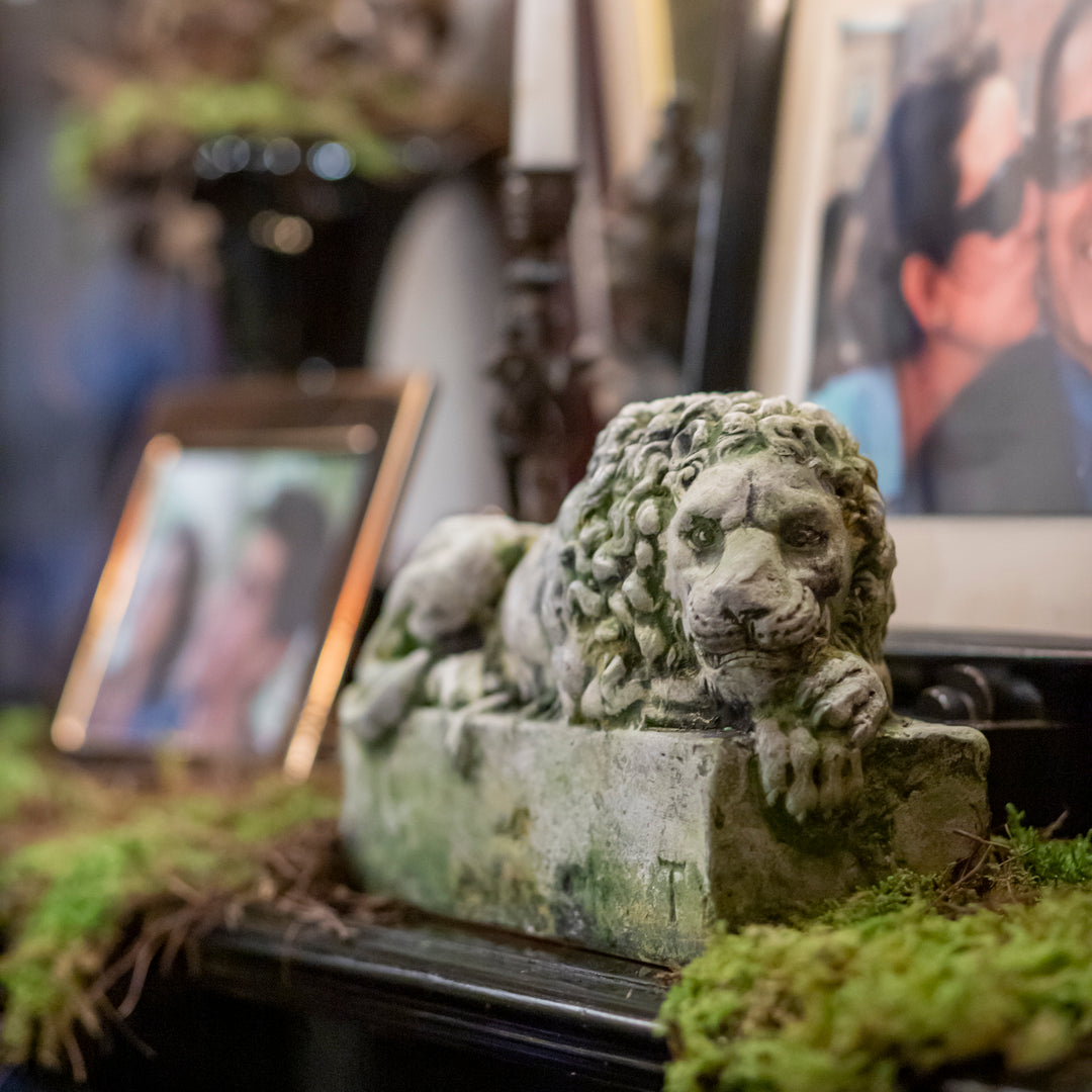 LEON CENTINELA 19 CM AL