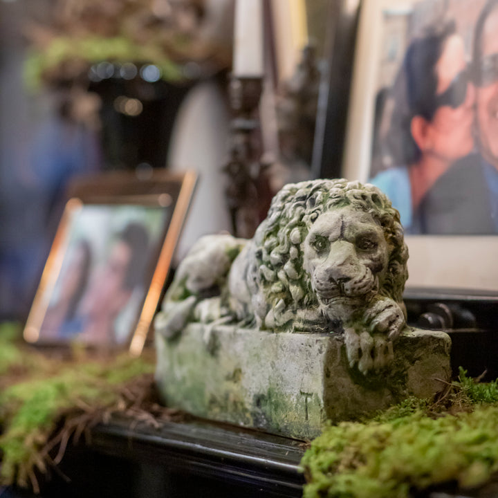 LEON CENTINELA 19 CM AL