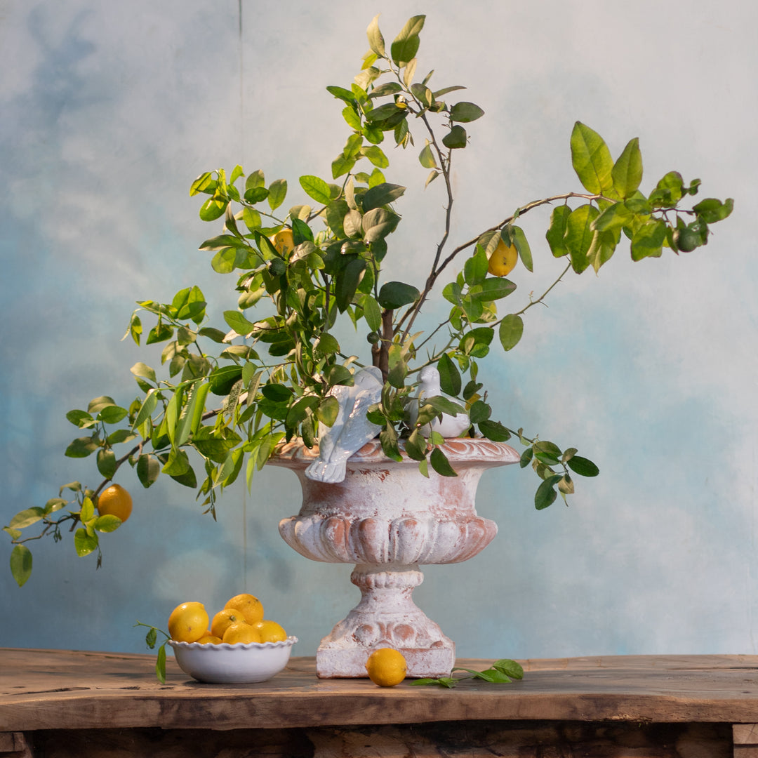 URNA CLASICA CHAPARRA SIN ASAS 38CM AL 42CM D