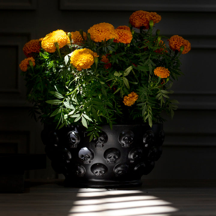 BOWL CALAVERAS 20CM AL 41CM D