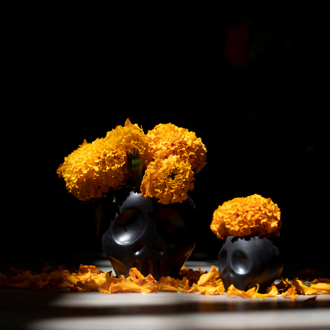 FLORERO CALAVERA 5CM AL 6CM D | Trinitate