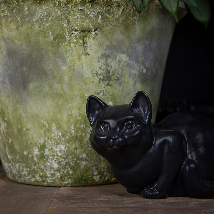 CAT 16CM H 26.5CM L 14CM W