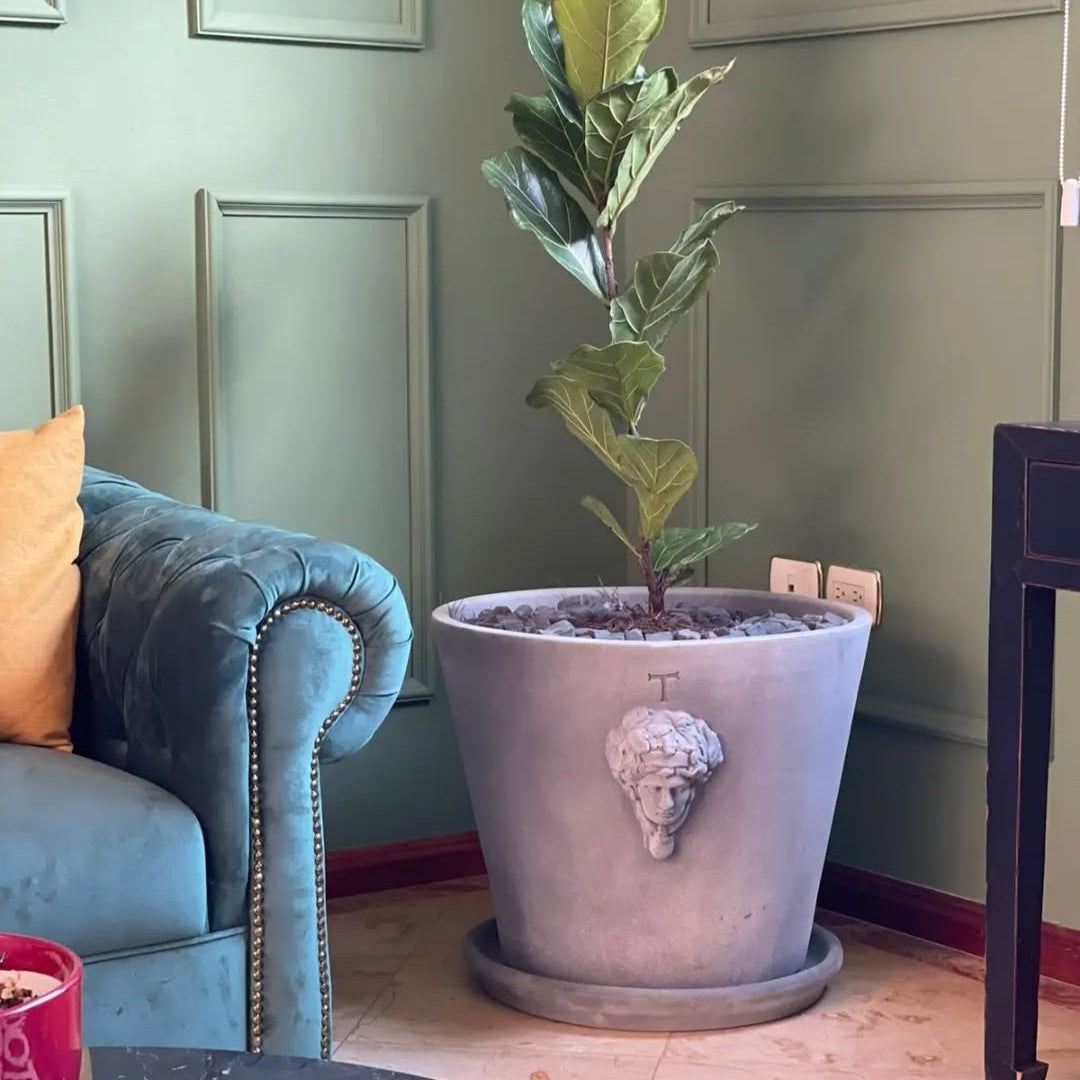 VASO MASCARA 50CM AL 61CM DBOCA | Trinitate