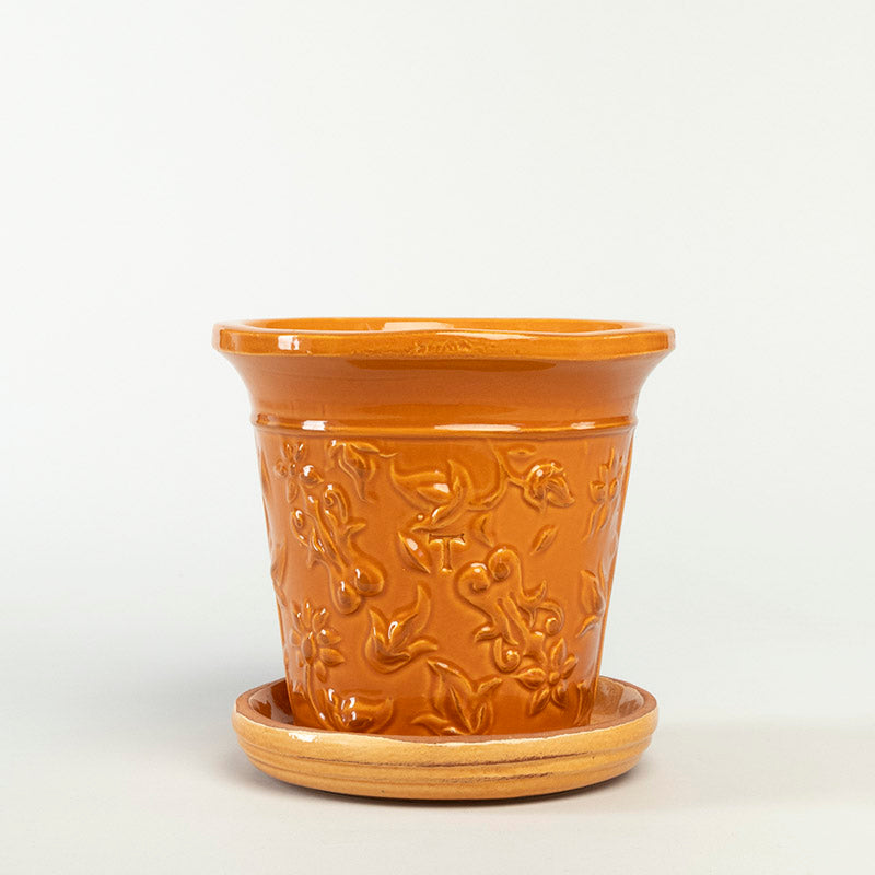 SET VASO PAISLEY 19CM AL 20CM DBOCA | Trinitate