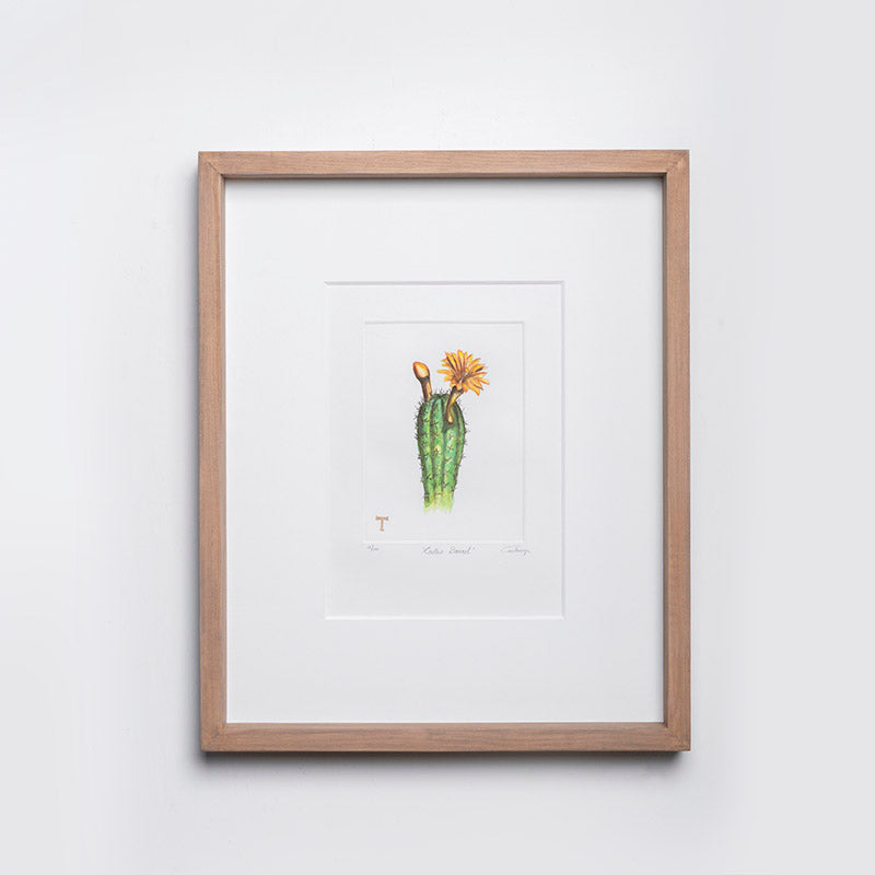 CACTUS BARRIL MARCO - TSEPIA ACUARELA / AVELLANA | Trinitate