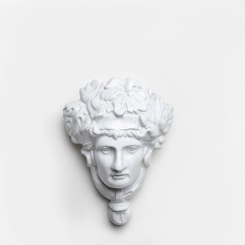 JARDINERA MASCARA  DE PARED 24CM AL 20CM L 10CM AN | Trinitate