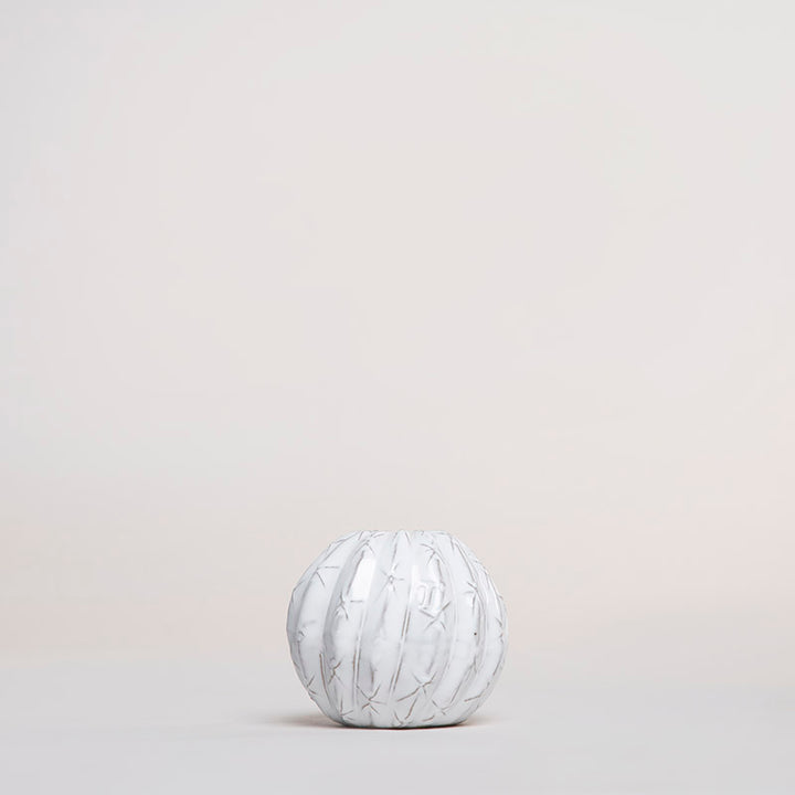 SALERO BIZNAGA 5CM AL 6CM AN | Trinitate