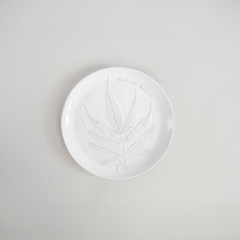 PLATO HELECHO BLECHNUM BOREALE 22CM D | Trinitate