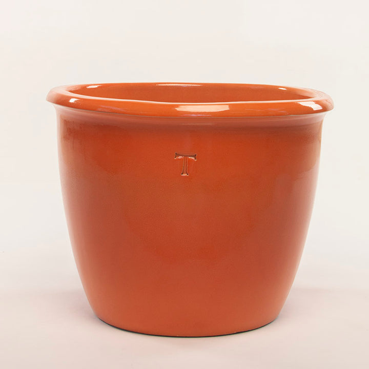 BOWL MEXICANO 51CM AL 61CM DBOCA | Trinitate