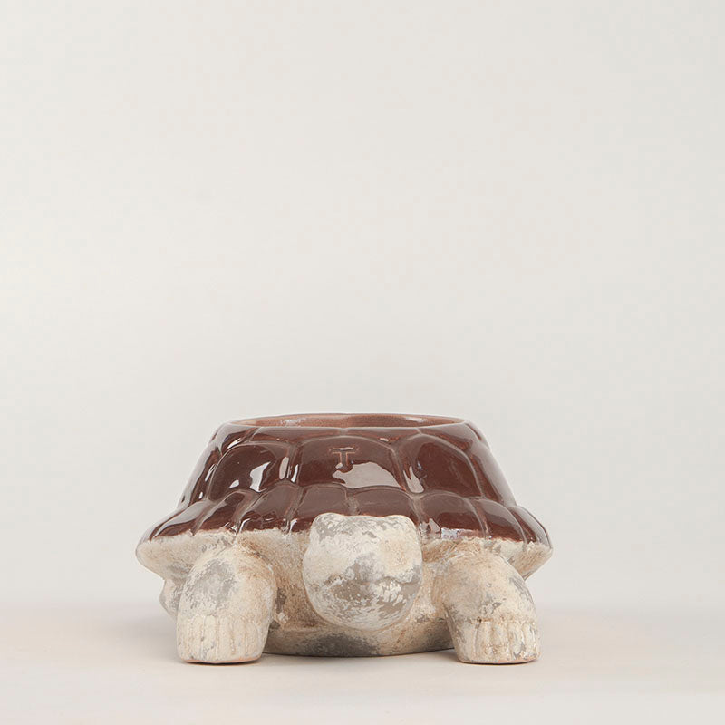 MACETA TORTUGA 10CM AL 30CM L 20CM AN | Trinitate
